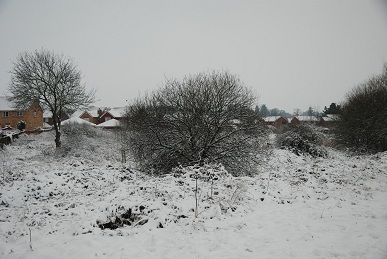 Snow 3